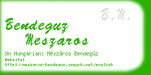 bendeguz meszaros business card